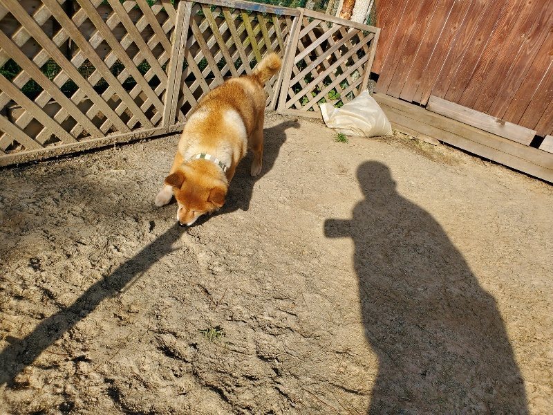 f:id:roukenhome-ann:20200323154440j:plain