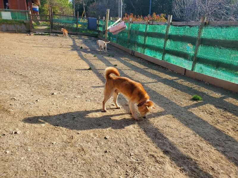 f:id:roukenhome-ann:20200323154446j:plain