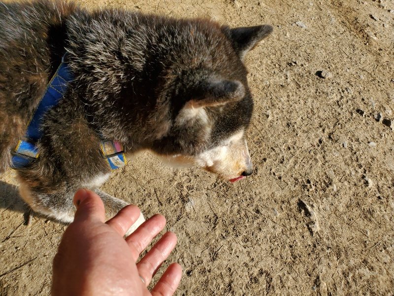 f:id:roukenhome-ann:20200323154504j:plain