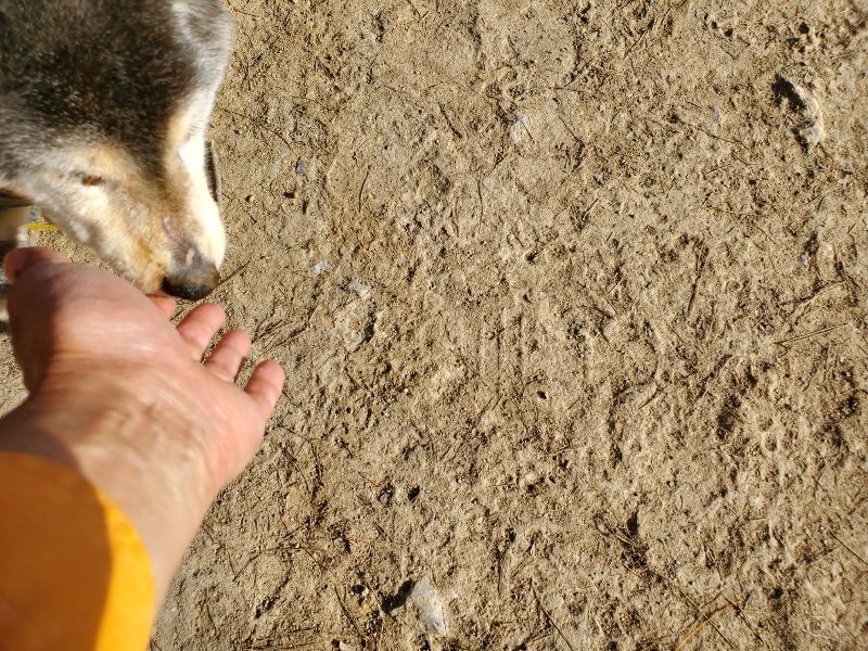 f:id:roukenhome-ann:20200323154509j:plain