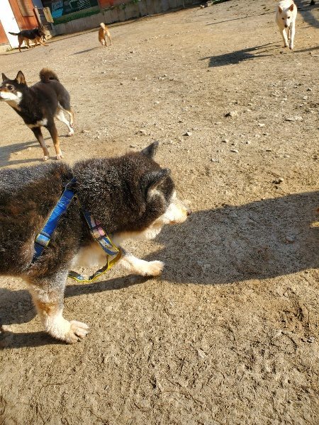 f:id:roukenhome-ann:20200323154520j:plain