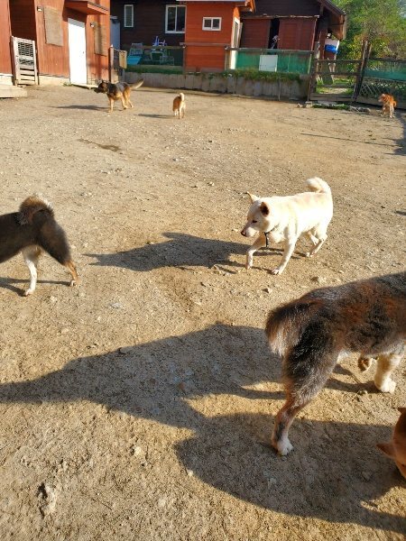 f:id:roukenhome-ann:20200323154529j:plain