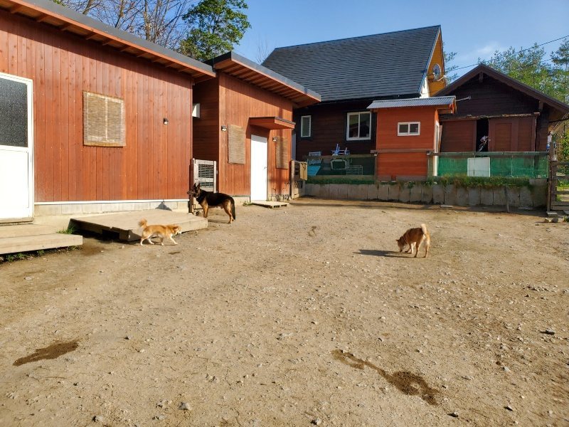 f:id:roukenhome-ann:20200323154535j:plain