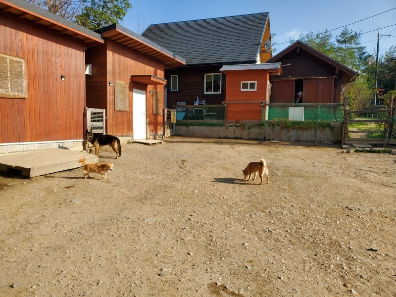 f:id:roukenhome-ann:20200323154539j:plain