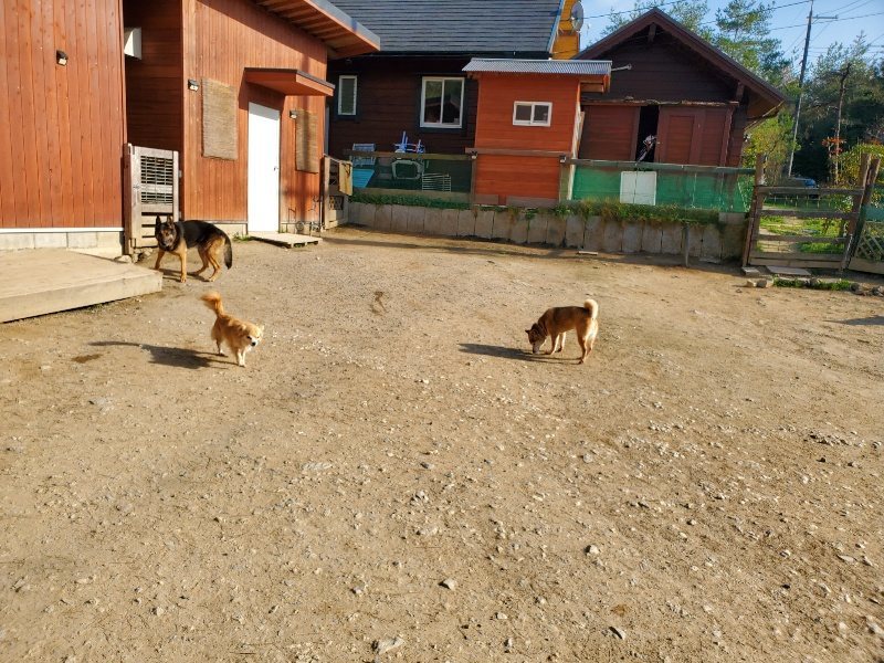 f:id:roukenhome-ann:20200323154544j:plain