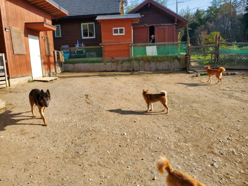 f:id:roukenhome-ann:20200323154549j:plain