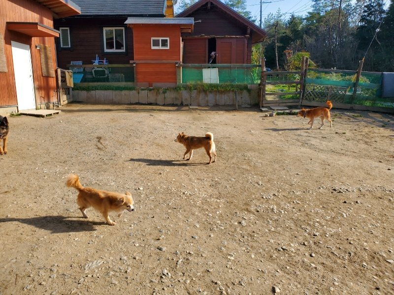 f:id:roukenhome-ann:20200323154554j:plain