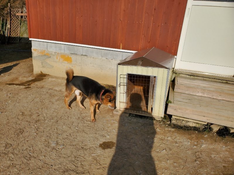 f:id:roukenhome-ann:20200323154559j:plain