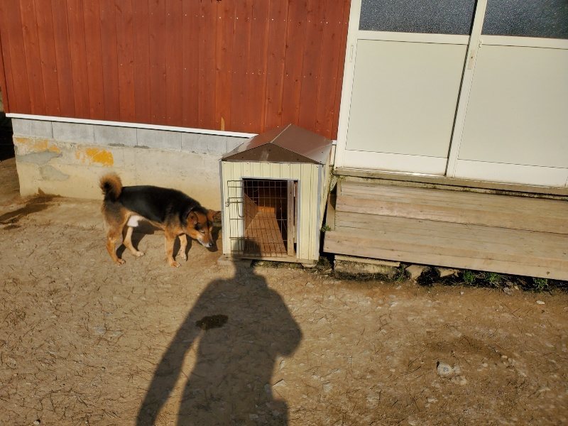 f:id:roukenhome-ann:20200323154604j:plain