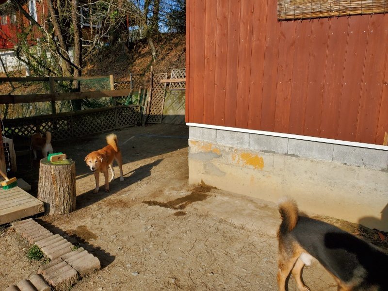 f:id:roukenhome-ann:20200323154609j:plain