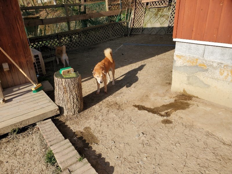 f:id:roukenhome-ann:20200323154615j:plain