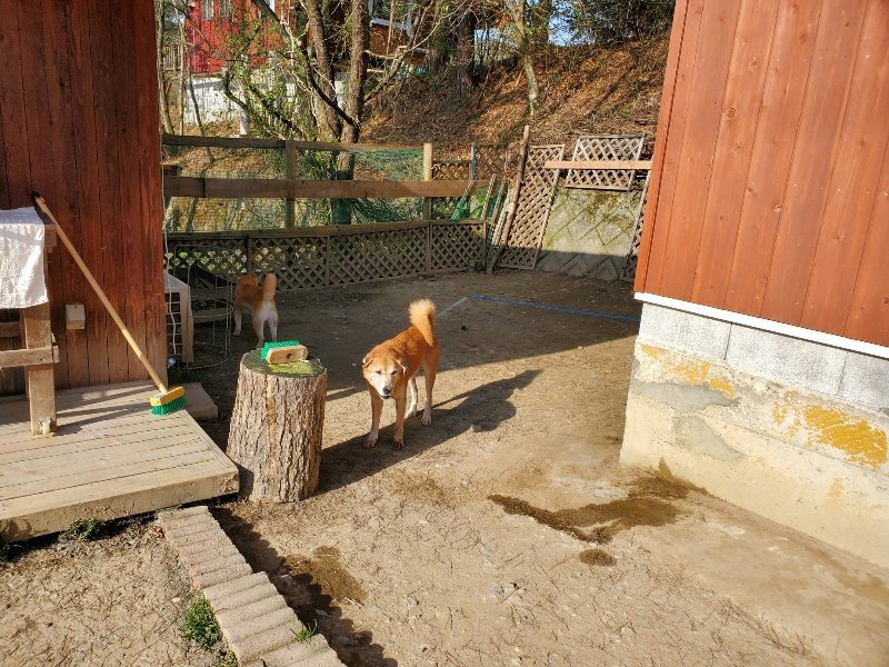 f:id:roukenhome-ann:20200323154621j:plain