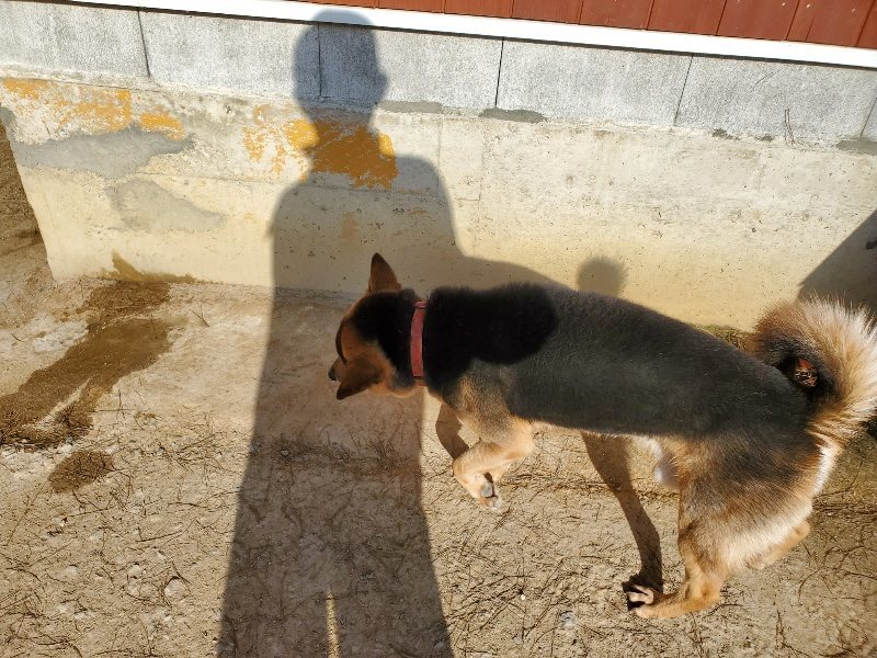 f:id:roukenhome-ann:20200323154628j:plain