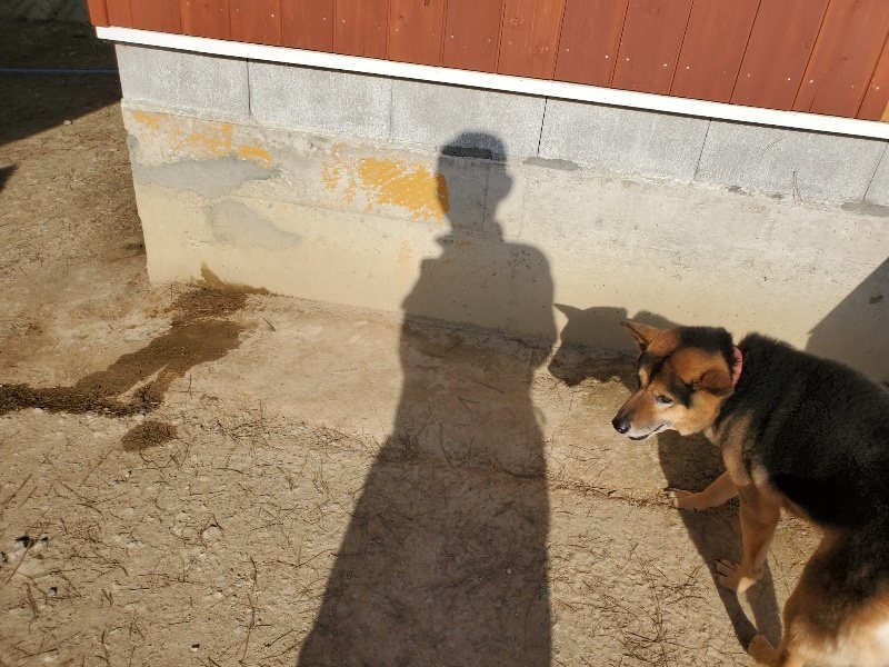 f:id:roukenhome-ann:20200323154633j:plain