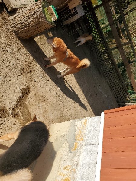 f:id:roukenhome-ann:20200323154637j:plain