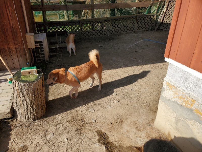 f:id:roukenhome-ann:20200323154649j:plain