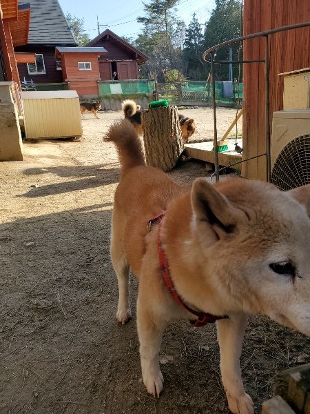 f:id:roukenhome-ann:20200323154706j:plain