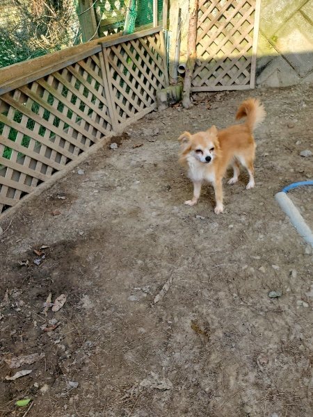 f:id:roukenhome-ann:20200323154710j:plain