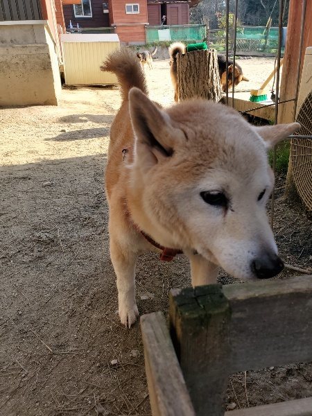 f:id:roukenhome-ann:20200323154715j:plain