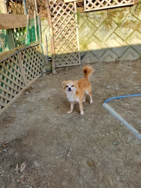 f:id:roukenhome-ann:20200323154719j:plain