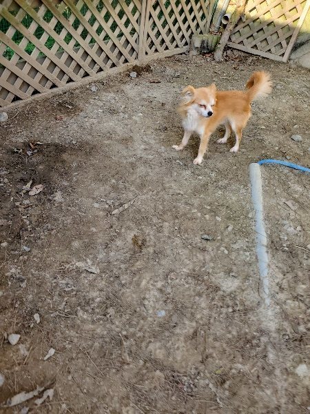 f:id:roukenhome-ann:20200323154723j:plain