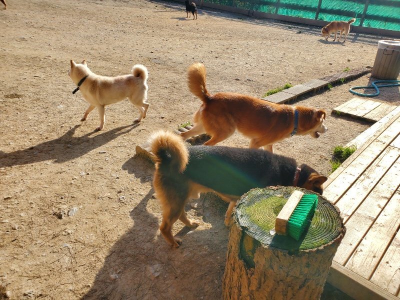 f:id:roukenhome-ann:20200323154734j:plain