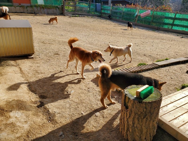 f:id:roukenhome-ann:20200323154740j:plain