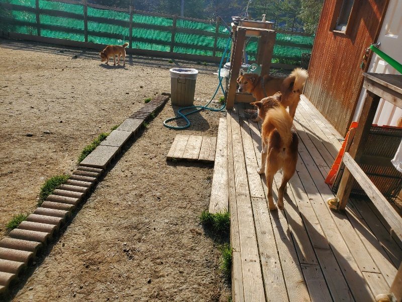 f:id:roukenhome-ann:20200323154745j:plain