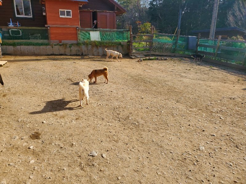 f:id:roukenhome-ann:20200323154804j:plain