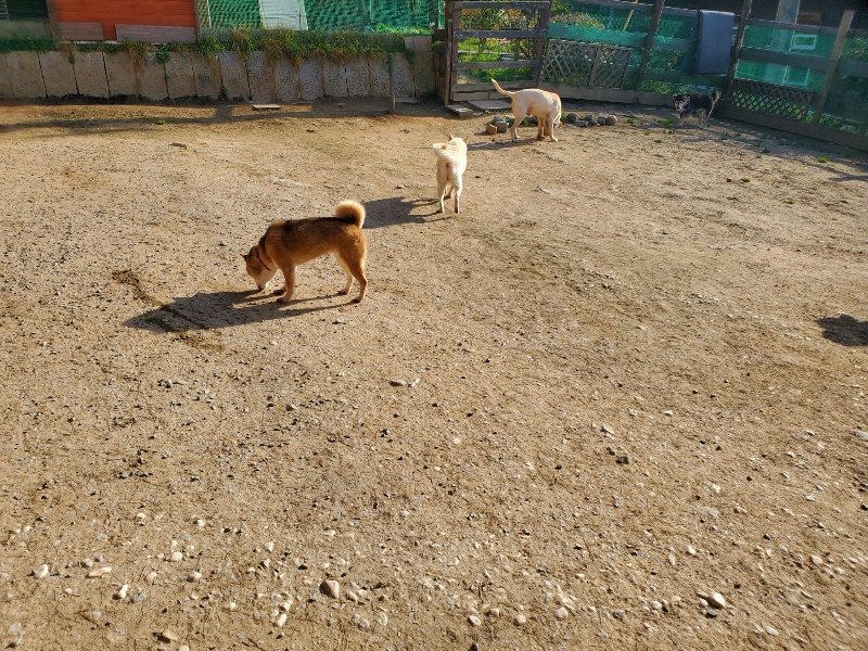 f:id:roukenhome-ann:20200323154810j:plain