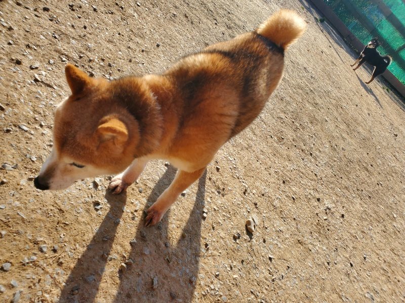 f:id:roukenhome-ann:20200323154823j:plain