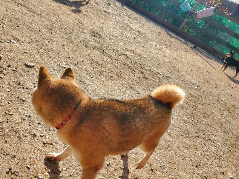 f:id:roukenhome-ann:20200323154829j:plain