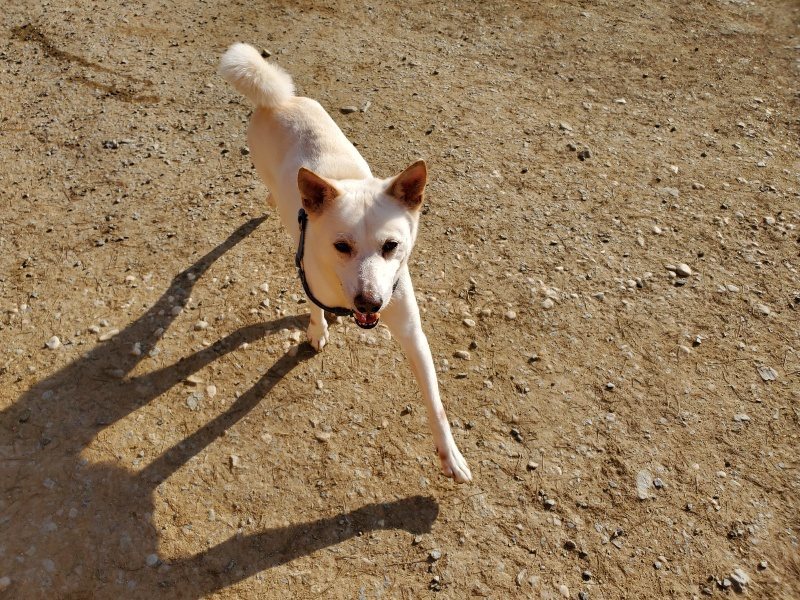 f:id:roukenhome-ann:20200323154836j:plain