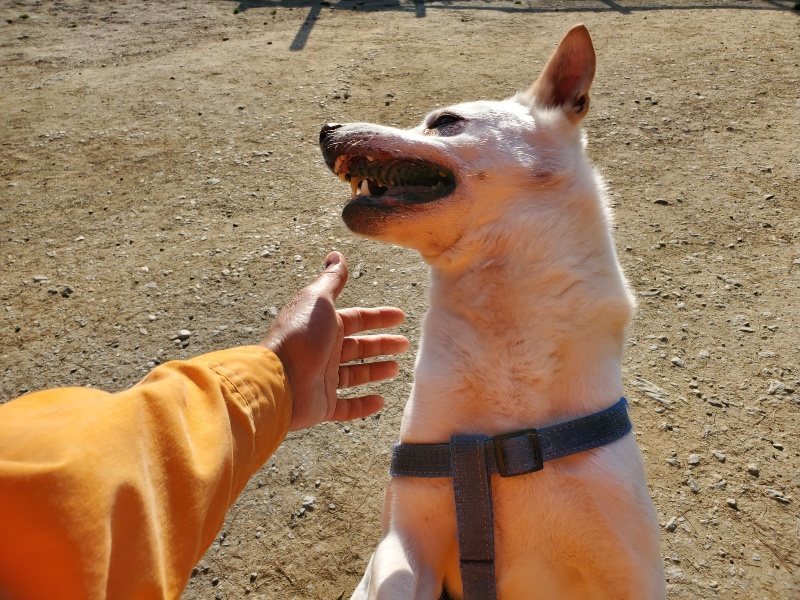 f:id:roukenhome-ann:20200323154842j:plain