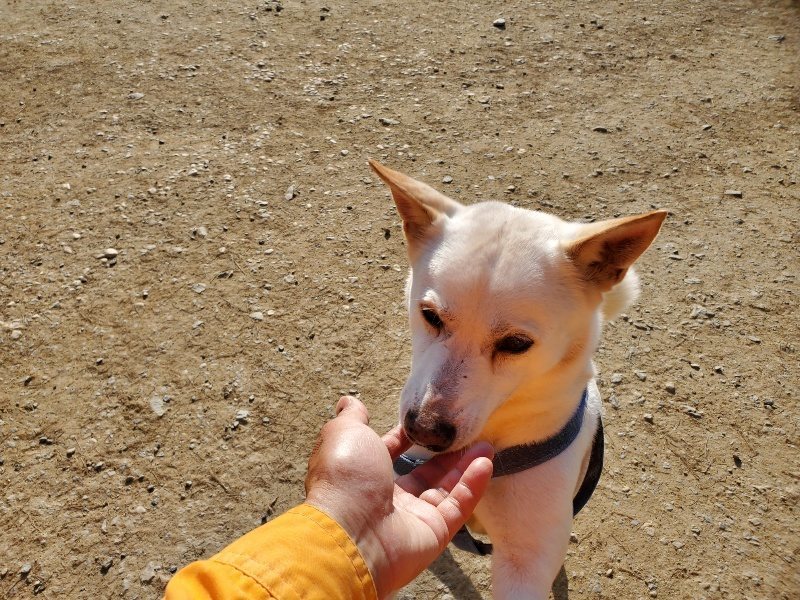 f:id:roukenhome-ann:20200323154852j:plain