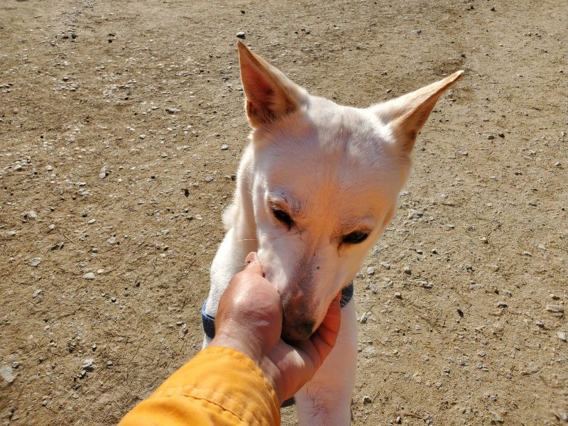 f:id:roukenhome-ann:20200323154858j:plain