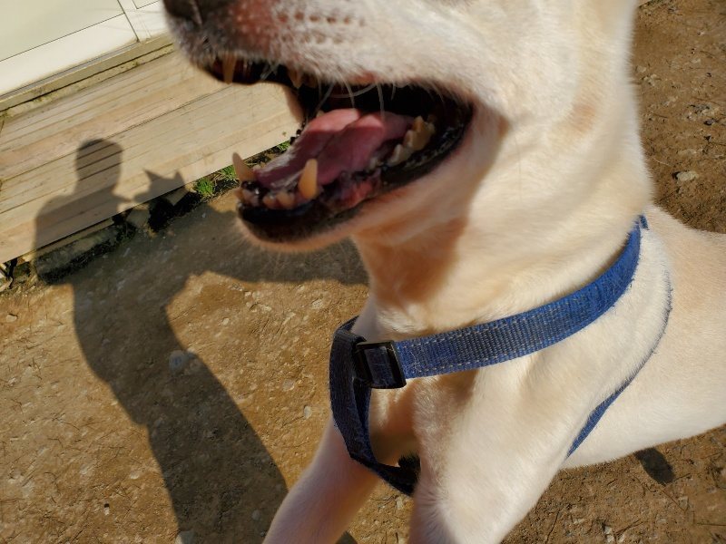 f:id:roukenhome-ann:20200323154904j:plain