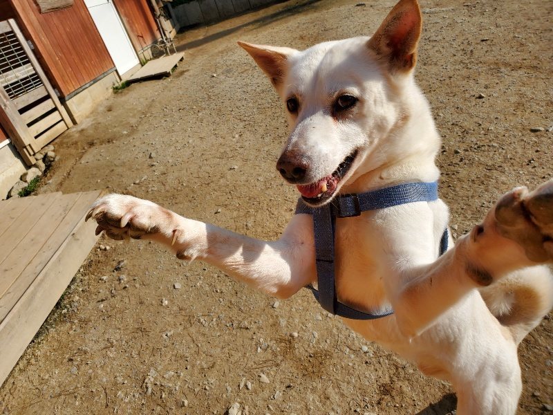 f:id:roukenhome-ann:20200323154908j:plain