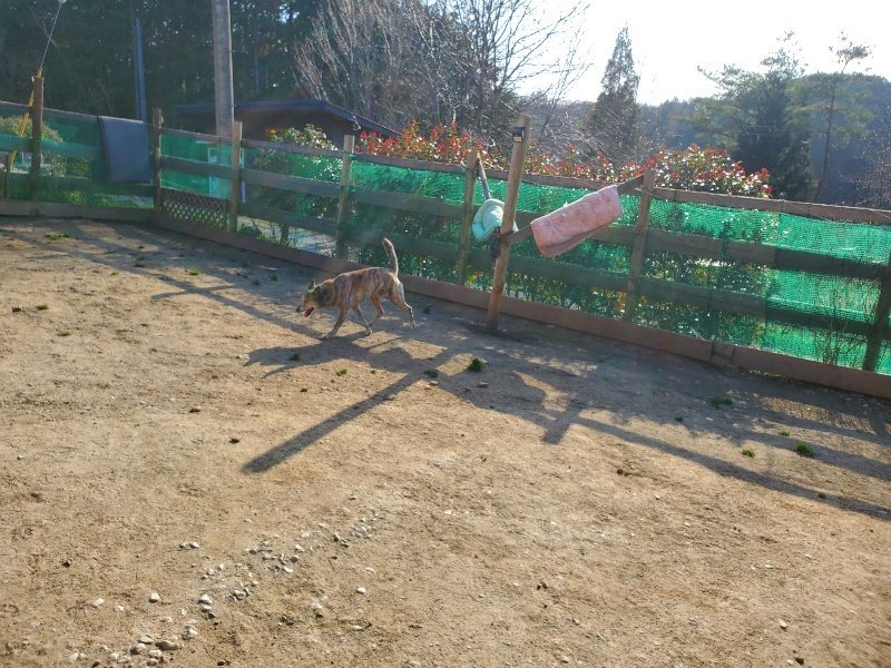 f:id:roukenhome-ann:20200323154914j:plain