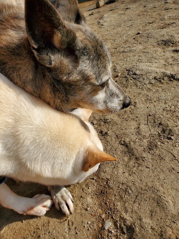 f:id:roukenhome-ann:20200323154919j:plain