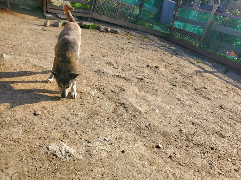 f:id:roukenhome-ann:20200323154924j:plain