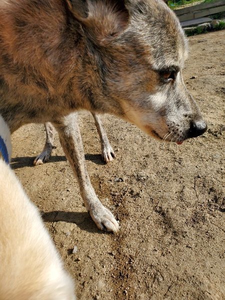 f:id:roukenhome-ann:20200323154934j:plain