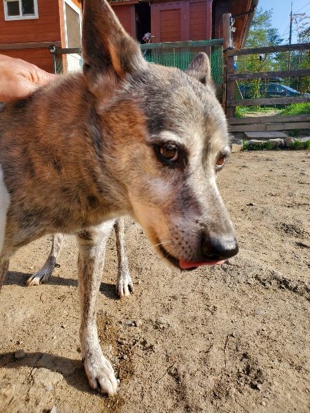 f:id:roukenhome-ann:20200323154937j:plain