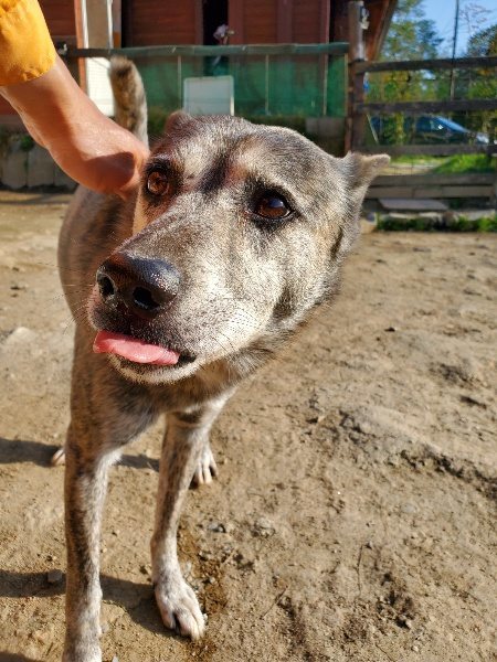 f:id:roukenhome-ann:20200323154942j:plain