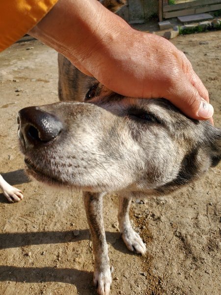 f:id:roukenhome-ann:20200323154945j:plain