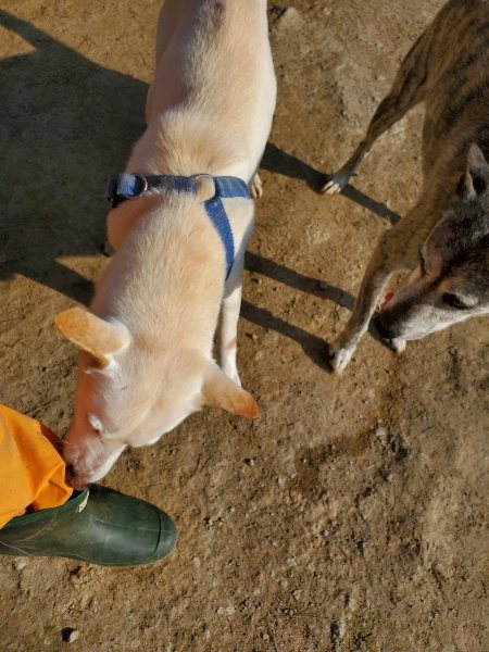 f:id:roukenhome-ann:20200323154949j:plain