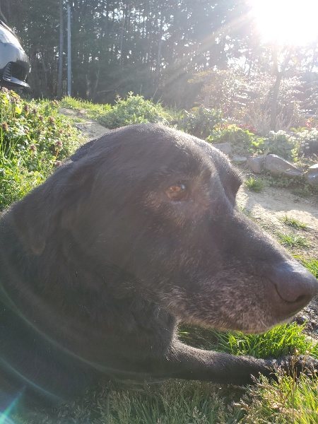 f:id:roukenhome-ann:20200323154953j:plain