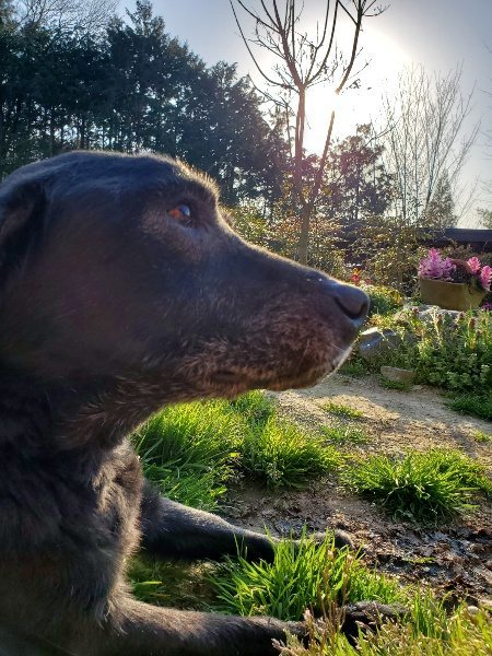 f:id:roukenhome-ann:20200323155005j:plain