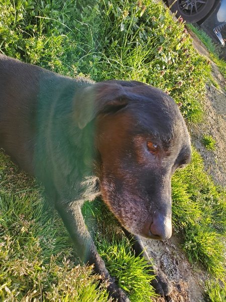 f:id:roukenhome-ann:20200323155015j:plain