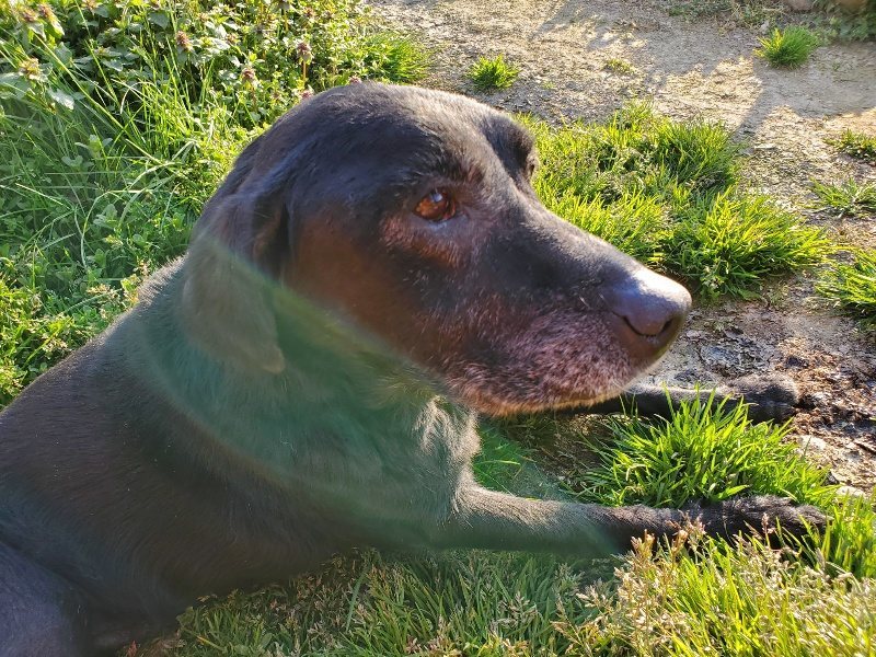 f:id:roukenhome-ann:20200323155020j:plain